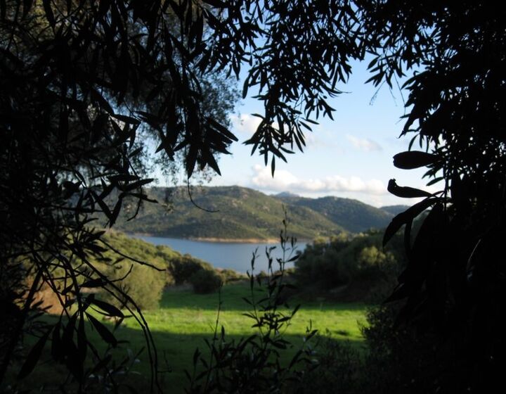 Landschaft im Norden Sardiniens